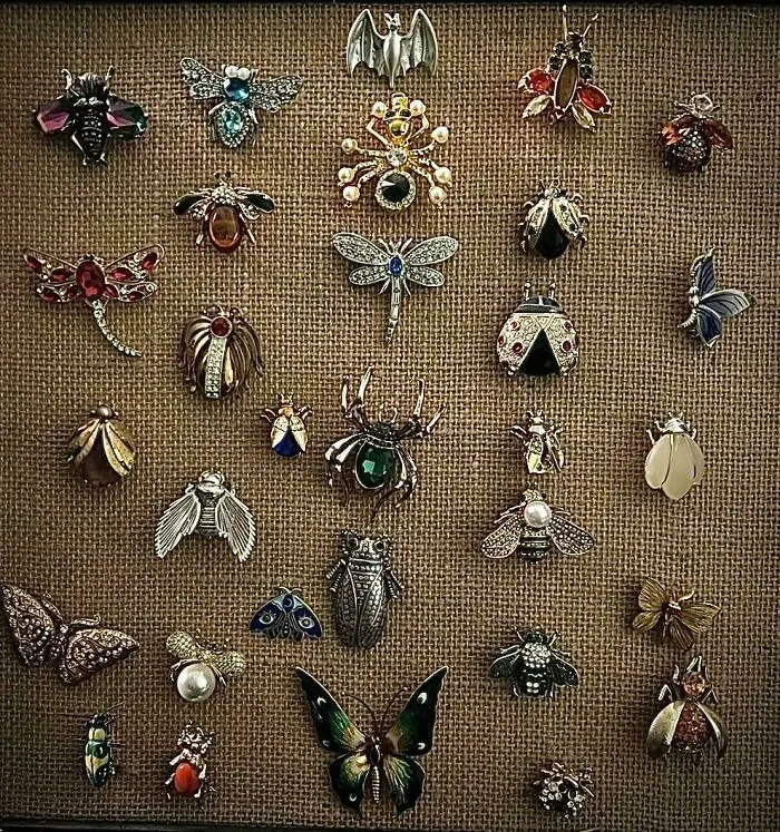 I Collect Jeweled Bug Brooches 😂🤌🏻🪲🐞🕷️🦋