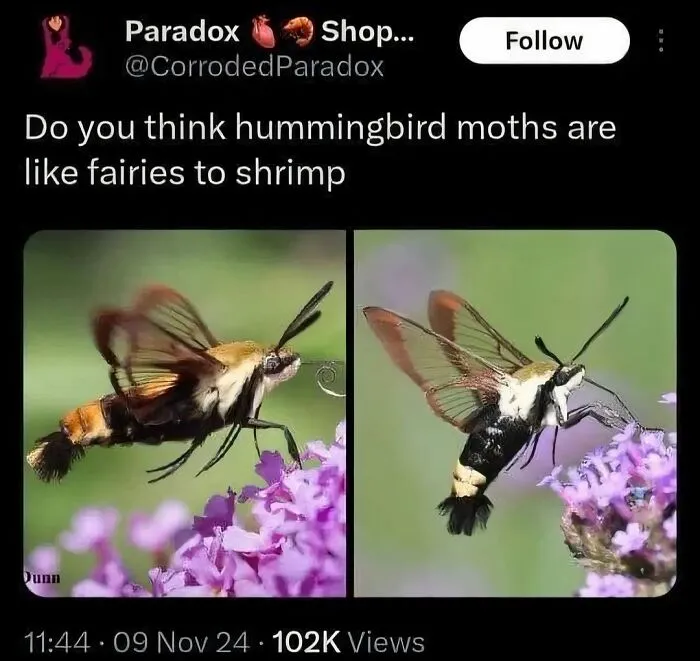 87 Funny Memes That Are Too Good To Keep To Yourself (New Pics)