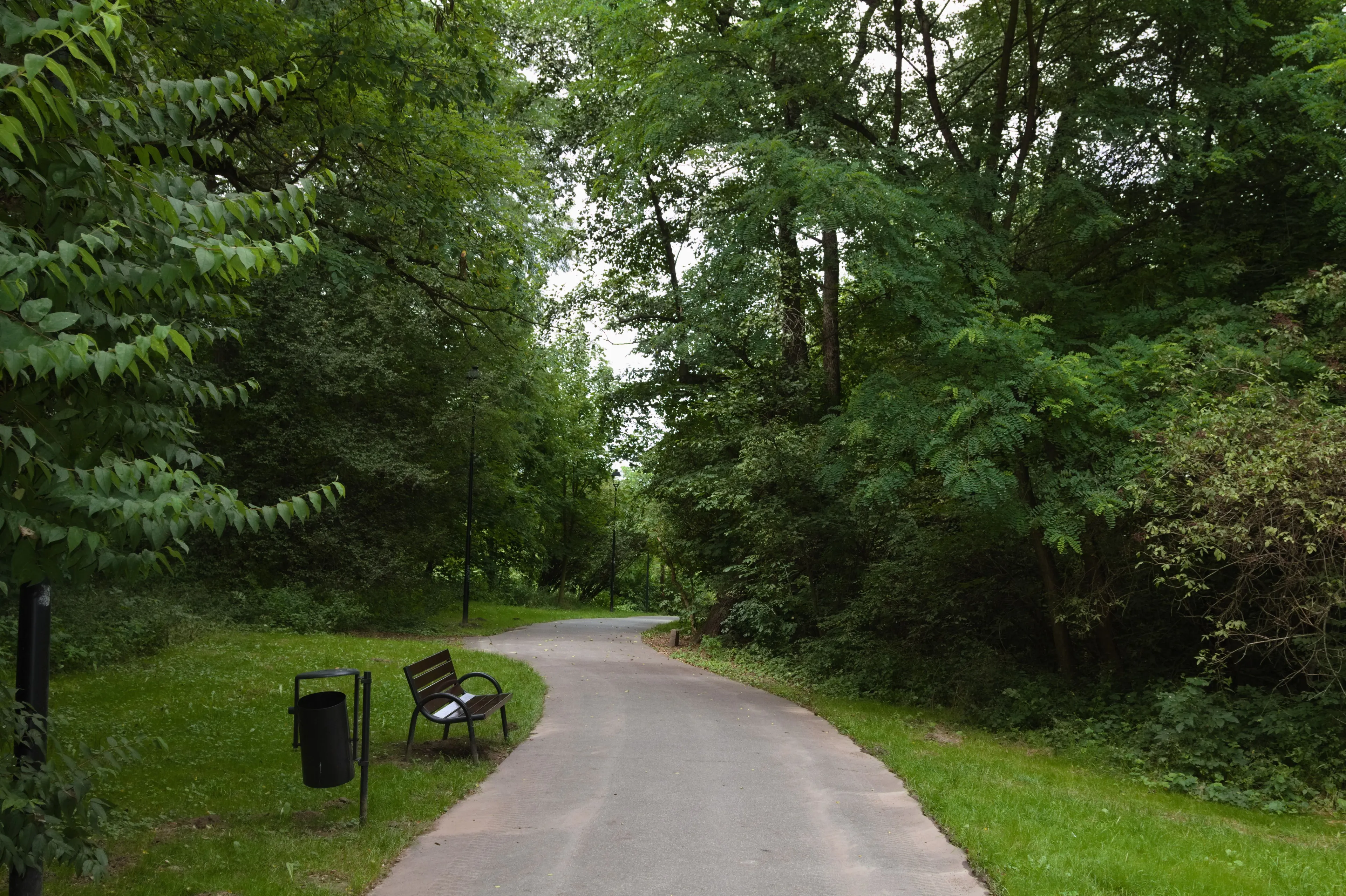 A park with a winding path and green trees, ideal for a Sunday afternoon.
