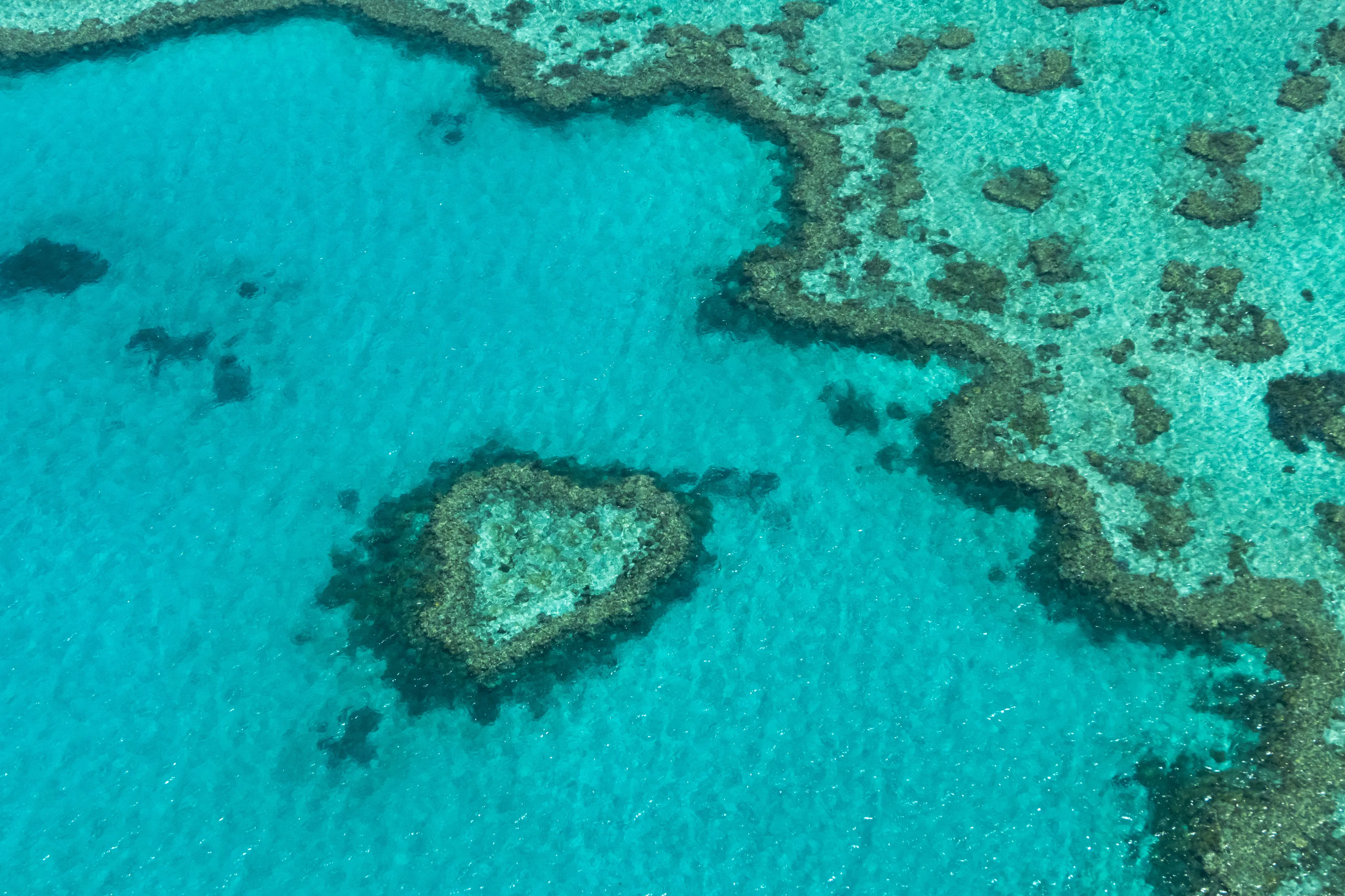 An aerial view of the Great Barrier Reef, showcasing vibrant coral formations in turquoise waters, a perfect pick a place to visit.