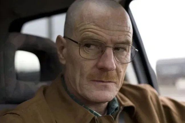 Walter White, a fictional character, wearing glasses and a mustache.