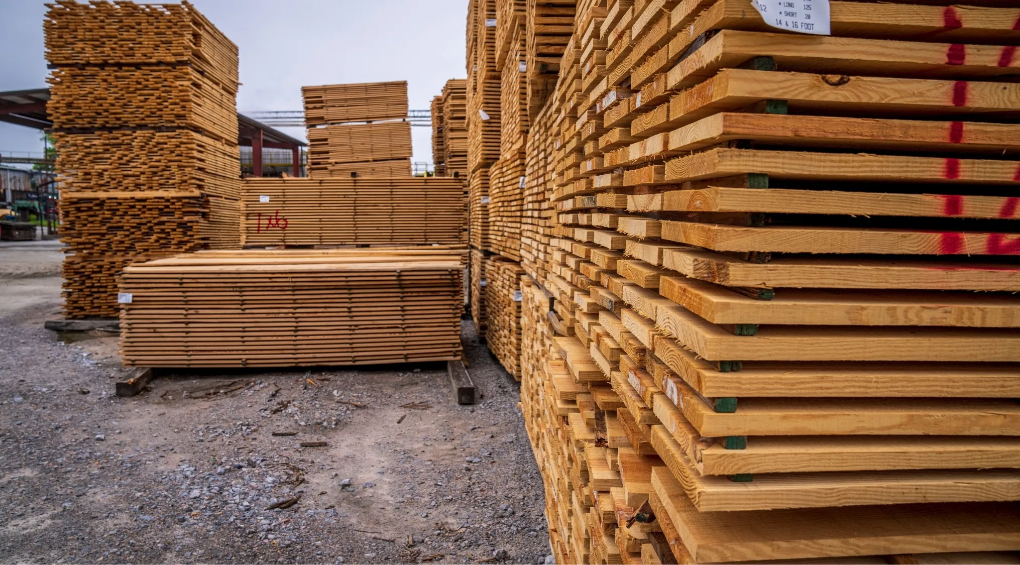 A large lumberyard with stacks of wooden boards. This image relates to the 1895 Kansas 8th Grade Arithmetic Exam, specifically the cost of 40 boards.