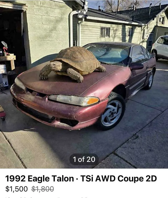 Someone Said They Don’t Make Hood Ornaments Like They Used To…