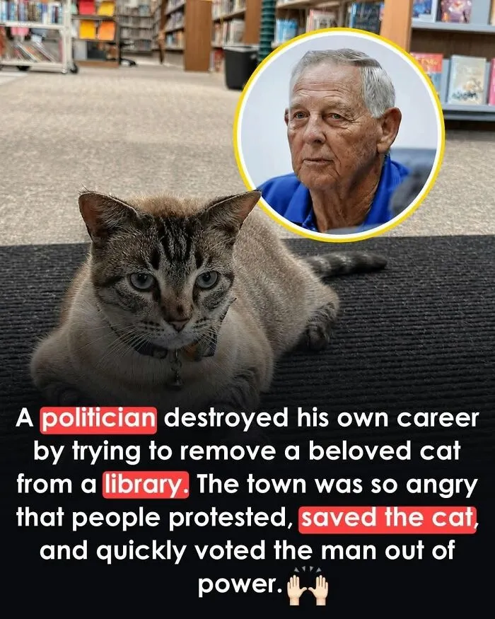 This Page Shared 26 Heartwarming Animal Moments From Around The World (New Pics)