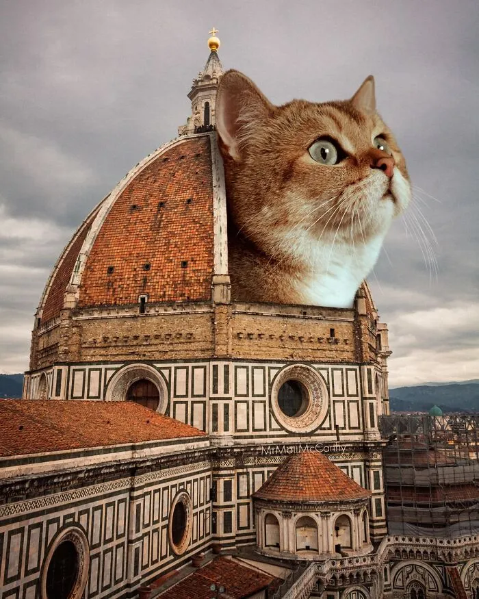This Artist Continues His Giant-Cat Takeover With 30 New Surreal Digital Collages