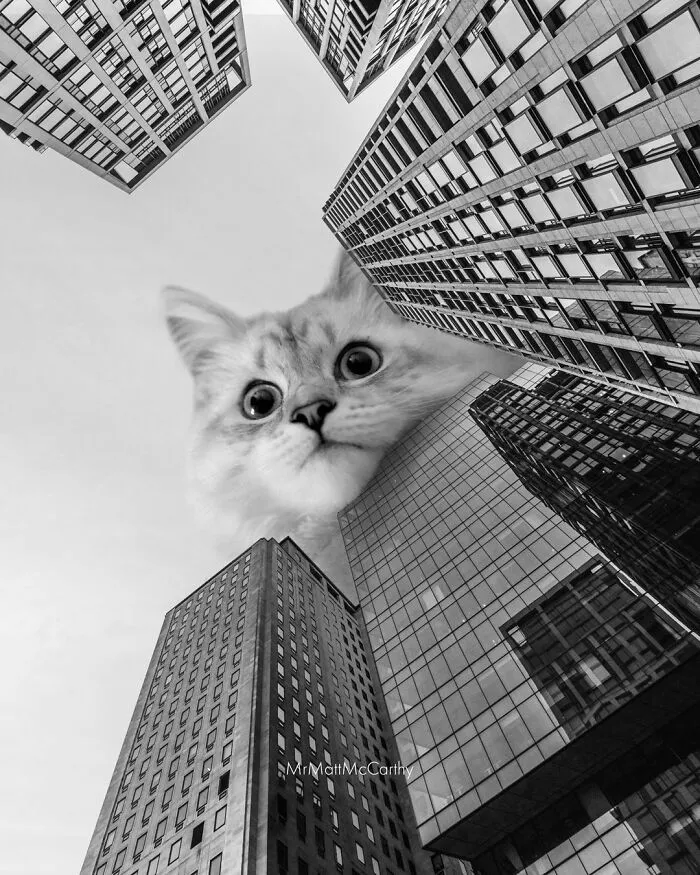 This Artist Continues His Giant-Cat Takeover With 30 New Surreal Digital Collages