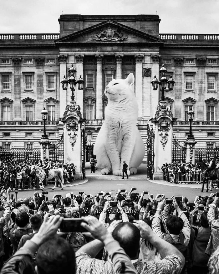 This Artist Continues His Giant-Cat Takeover With 30 New Surreal Digital Collages