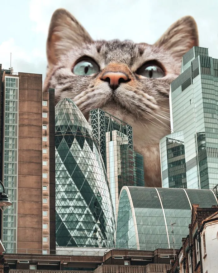 This Artist Continues His Giant-Cat Takeover With 30 New Surreal Digital Collages
