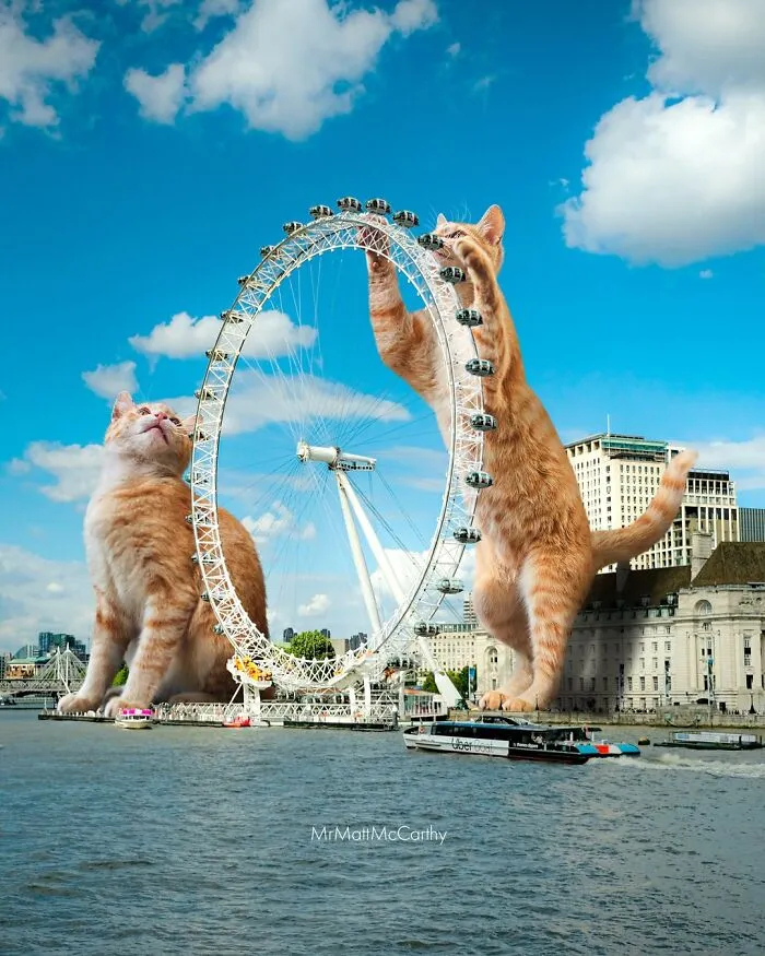 This Artist Continues His Giant-Cat Takeover With 30 New Surreal Digital Collages
