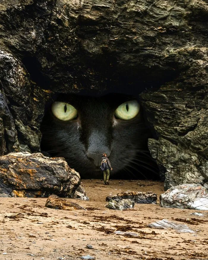 This Artist Continues His Giant-Cat Takeover With 30 New Surreal Digital Collages