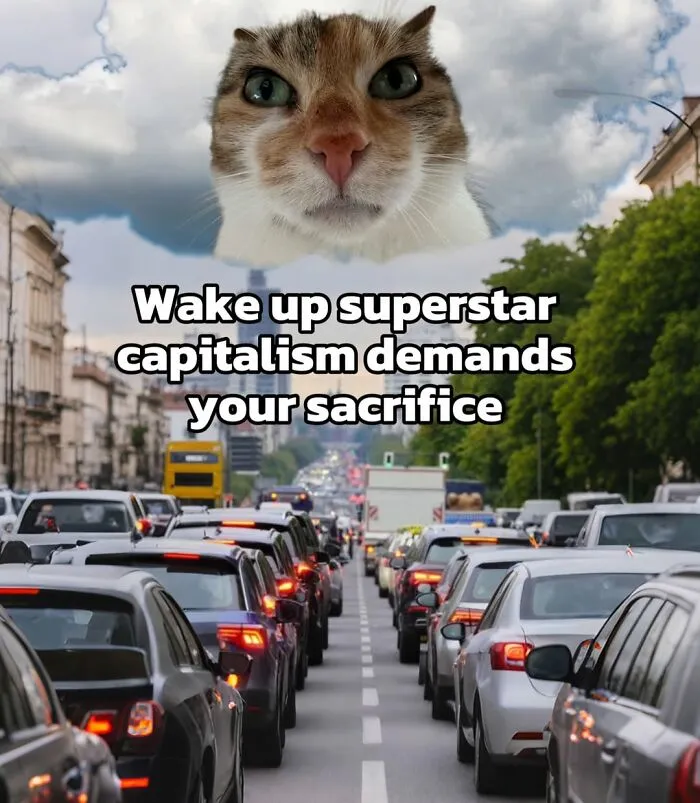 47 Hilarious Cat Memes That Turn Everyday Feline Drama Into Purrfect Comedy