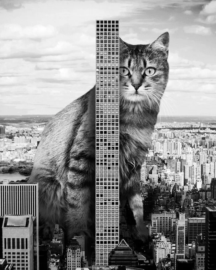 This Artist Continues His Giant-Cat Takeover With 30 New Surreal Digital Collages