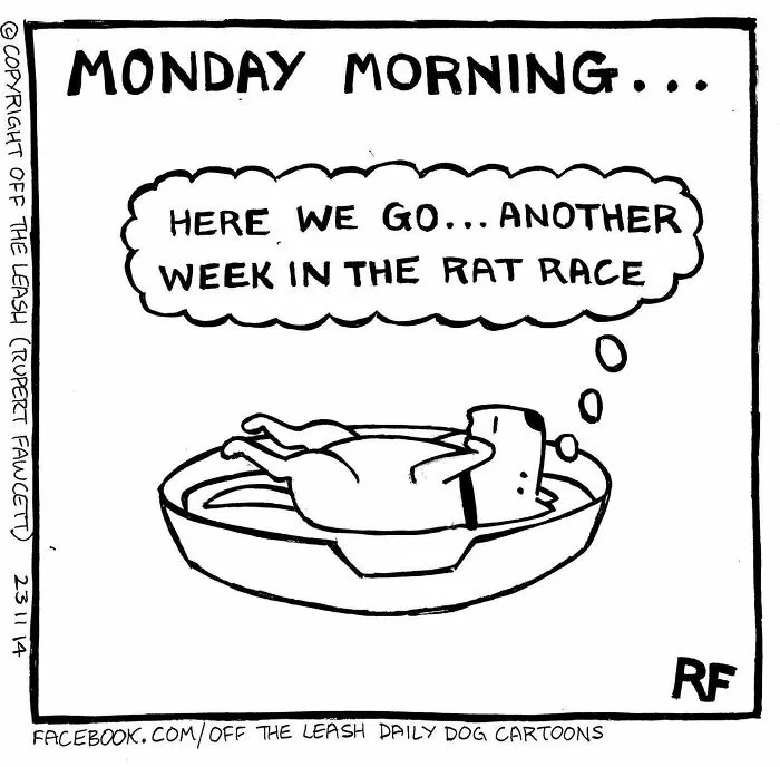A dog cartoon showing a dog waking up on Monday morning, dreading another week in the rat race.