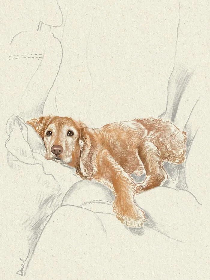 This Artist Turns Beloved Dogs Into Soft, Nostalgic-Looking Portraits (76 Pics)