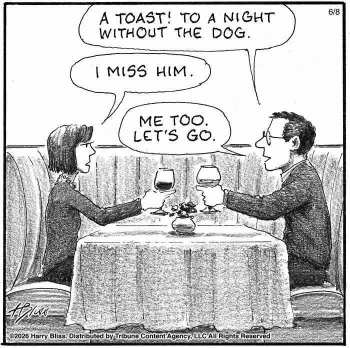40 Wholesome One-Panel Comics By New Yorker Magazine Cartoonist Harry Bliss (New Pics)