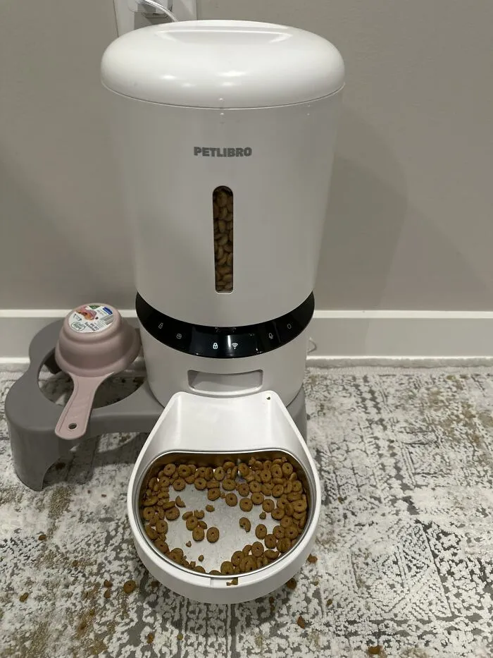 Knowing Exactly What The Cat Is Doing At 3pm On A Tuesday While Sitting In A Work Meeting Is The Peace Of Mind An<a Style="Display:inline;" Href="Https://Www.amazon.com/Petlibro-Automatic-Feeder-Camera-Blockage/Dp/B0b5zggwbq?ie=utf8&linkcode=ll2&tag=bpdeer-20&linkid=adccc792c176fa64f17de4130a9d2620&language=en_us&ref_=as_li_ss_tl" Target="_blank">  <span Style="Font: Inherit; Color: #d74b1f;"> Automatic Cat Feeder With Camera </Span> Delivers Without Anyone Having To Ask For It