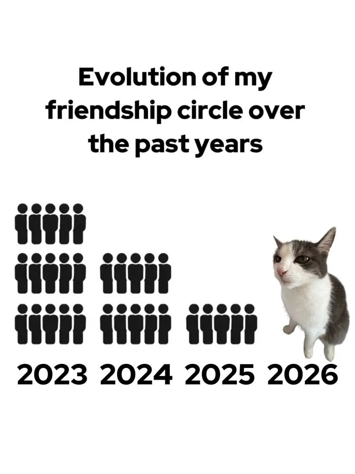 47 Hilarious Cat Memes That Turn Everyday Feline Drama Into Purrfect Comedy