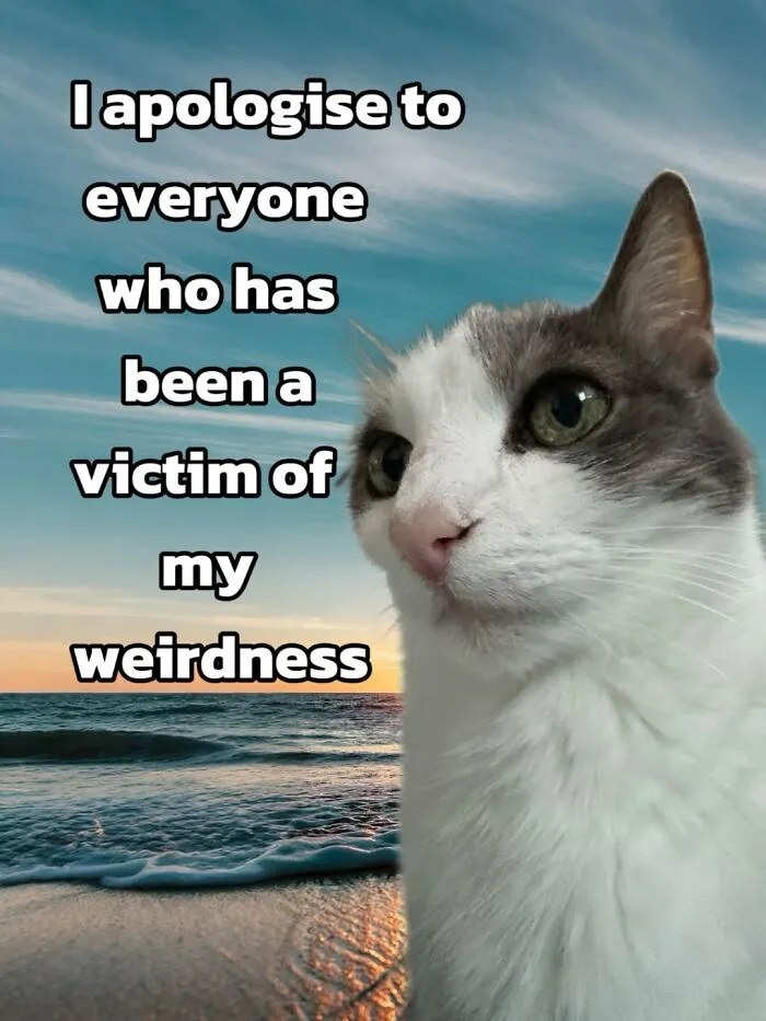 47 Hilarious Cat Memes That Turn Everyday Feline Drama Into Purrfect Comedy