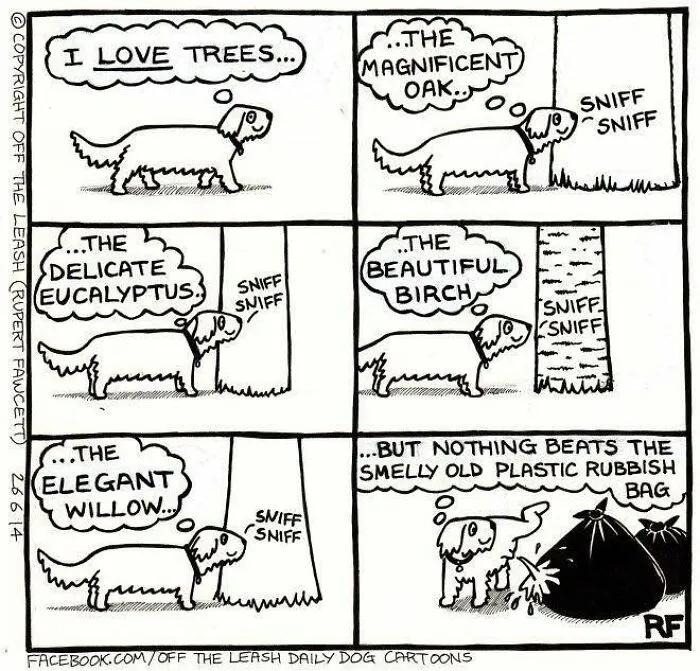 A dog sniffs trees and then a smelly rubbish bag, showcasing a funny dog cartoon.