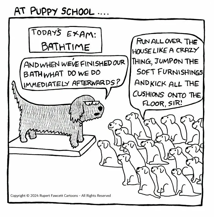 A dog cartoon teacher giving an exam about bathtime to many puppy students. Captures weird bits of dog life.