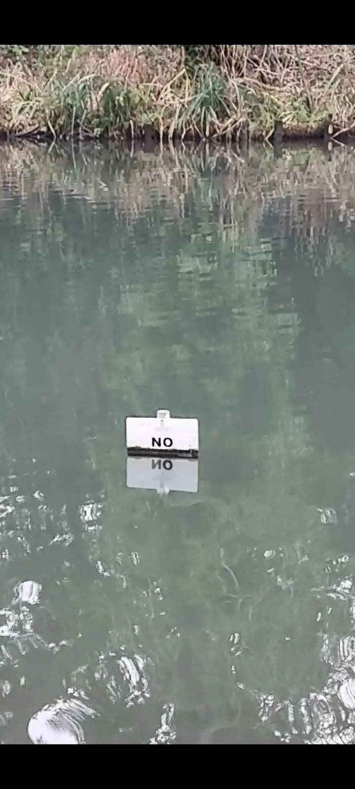 37 Random Photos That Look Completely Made-Up And Senseless, But  Are Quite Amusing Anyway