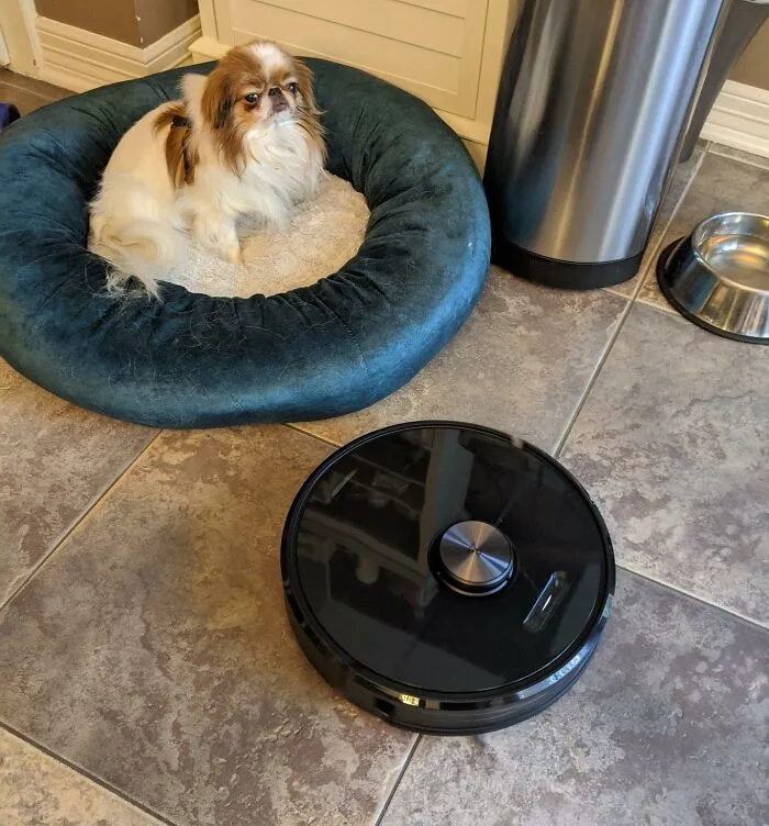 Coming Home To Floors That Cleaned Themselves While You Were Out Is The Kind Of Domestic Plot Twist A <a Style="Display:inline;" Href="Https://Www.amazon.com/Roborock-S6-Adaptive-Selective-Cleaning/Dp/B0dwxbcqvp?ie=utf8&th=1&linkcode=ll2&tag=bpscorpion-20&linkid=30b3c145fe0f72d6bb76486356589ba5&language=en_us&ref_=as_li_ss_tl" Target="_blank">  <span Style="Font: Inherit; Color: #d74b1f;"> Robotic Vacuum Cleaner </Span> Pulls Off Every Single Day Without Needing A Single Word Of Thanks