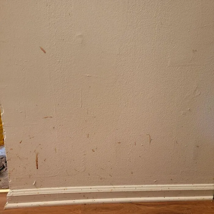 64 Times People Asked Their Partner To Stop Doing Something Gross, And Failed