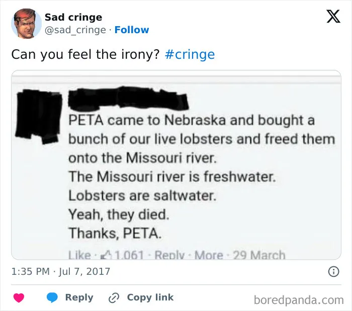 Sad-Cringe-Posts