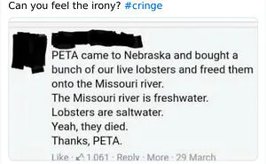 77 Cringy And Sad Moments That Will Forever Live As Screenshots On The Internet