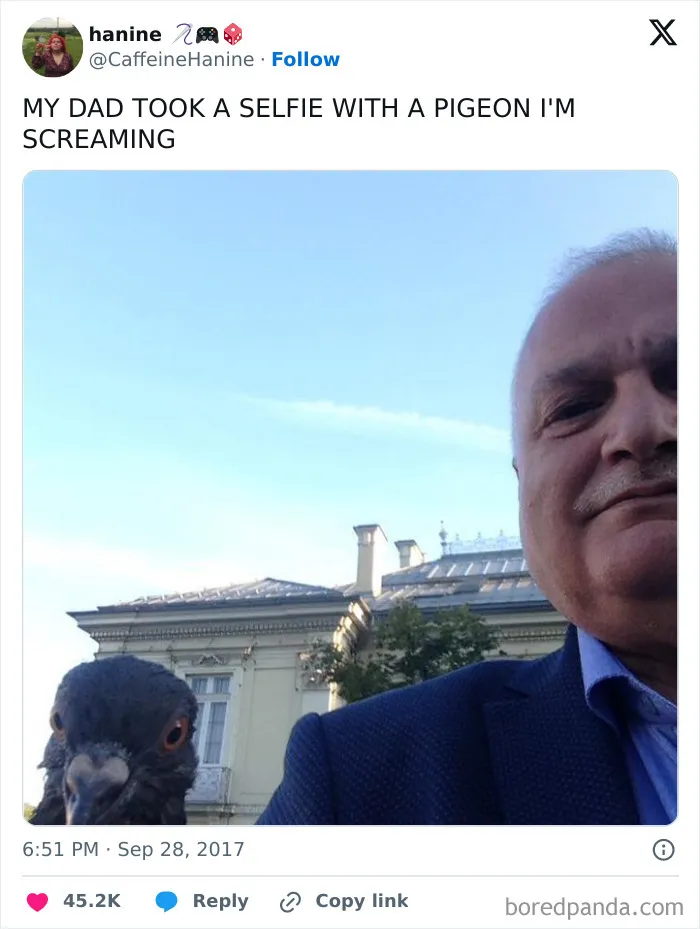 Pigeon Dad