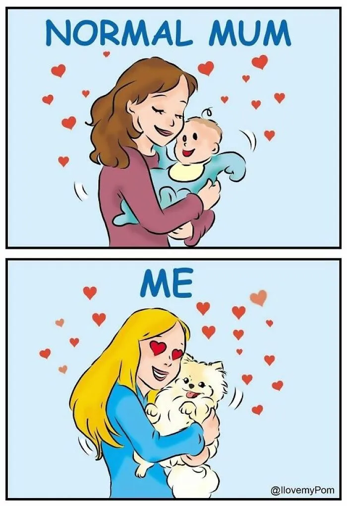 This Artist Captures The Chaos, Charm, And Confidence Of Pomeranians In 40 Comics