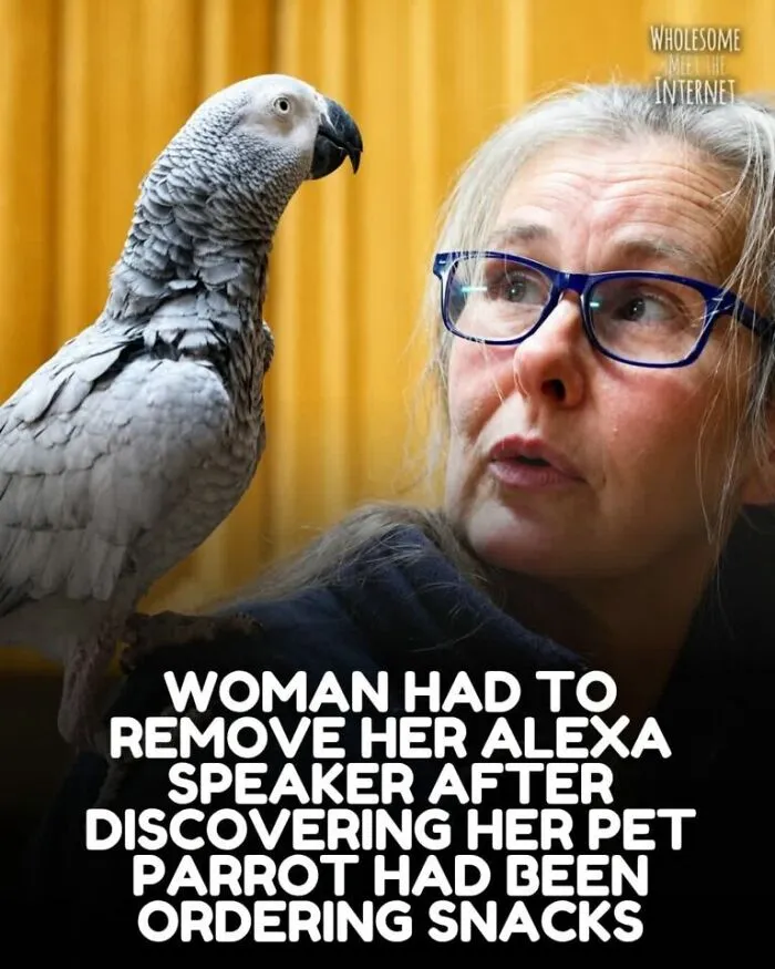 67 Wholesome Internet Finds That Might Restore Your Faith In Humanity (New Pics)