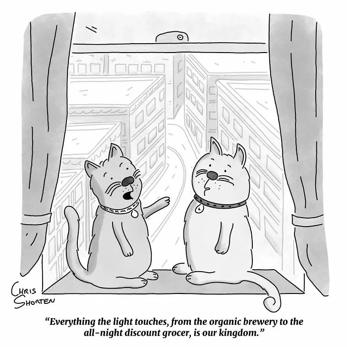 If You Enjoy Smart, Unpredictable Humor, These 41 Chris Shorten Cartoons Might Be Worth Your Time