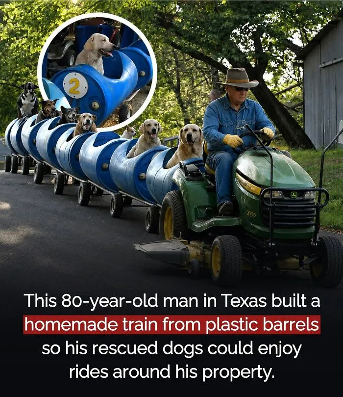 This Page Shared 26 Heartwarming Animal Moments From Around The World (New Pics)