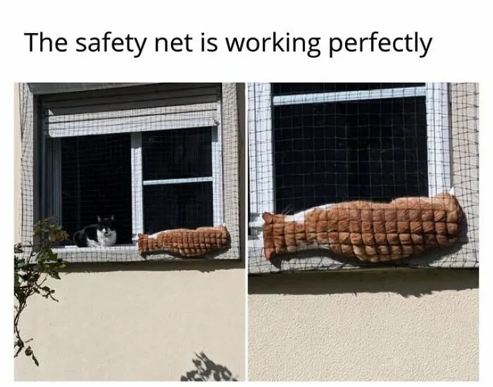 “Seconds Before He Risked It All”: 67 Memes That Are Funny Because They Involve Cats