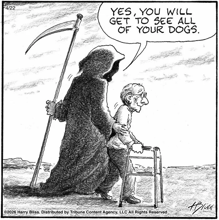 40 Wholesome One-Panel Comics By New Yorker Magazine Cartoonist Harry Bliss (New Pics)