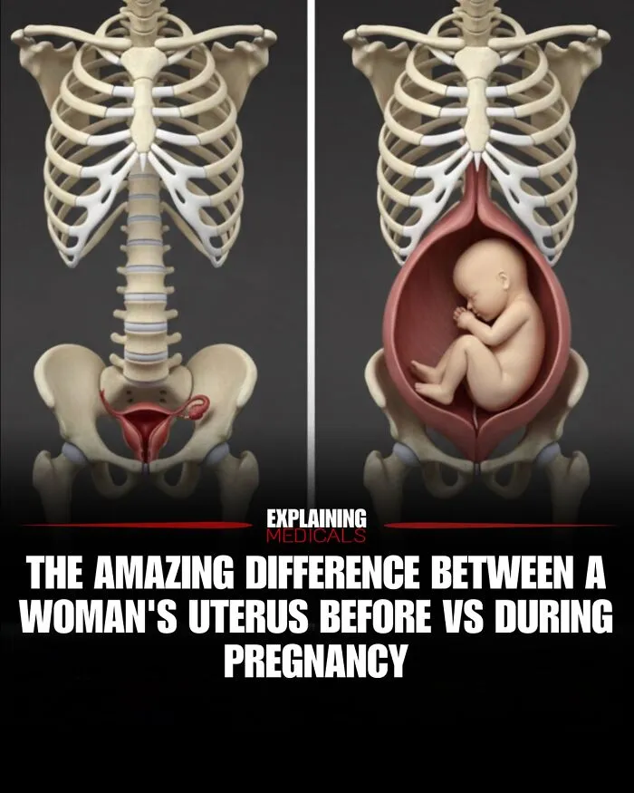 “A Lifetime Of Consequences”: 61 Cool And Interesting Medical Facts