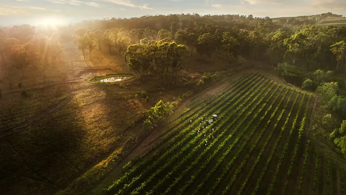 Louis Jadot Wine Photographer Of The Year - Places: The Hidden Vineyard By Chris Elfes, Australia