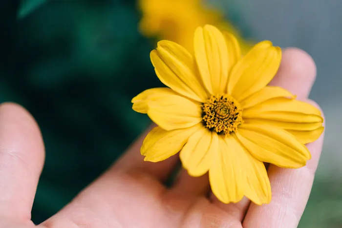 67 Things People Saw Once And Have Been Thinking About Ever Since