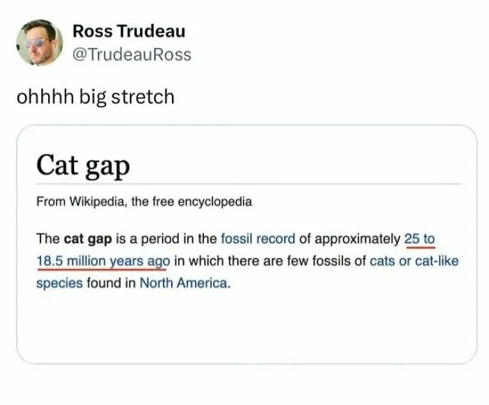 Entertaining cat memes: Screenshot explaining the cat gap period in the fossil record.