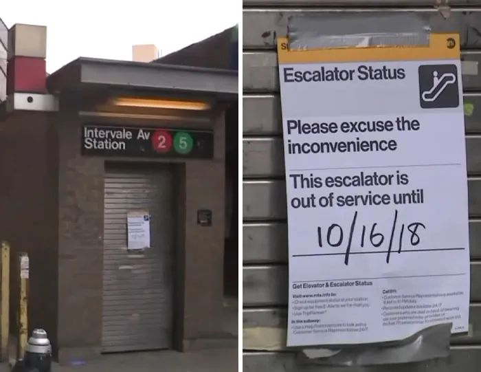 A T-Shirt Accidentally Caught In An Escalator Turned Fatal In Seconds