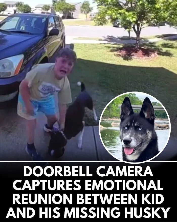 25 Incredible Stories Shared By ‘We Rate Dogs’ That Might Make You Laugh And Cry (New Pics)
