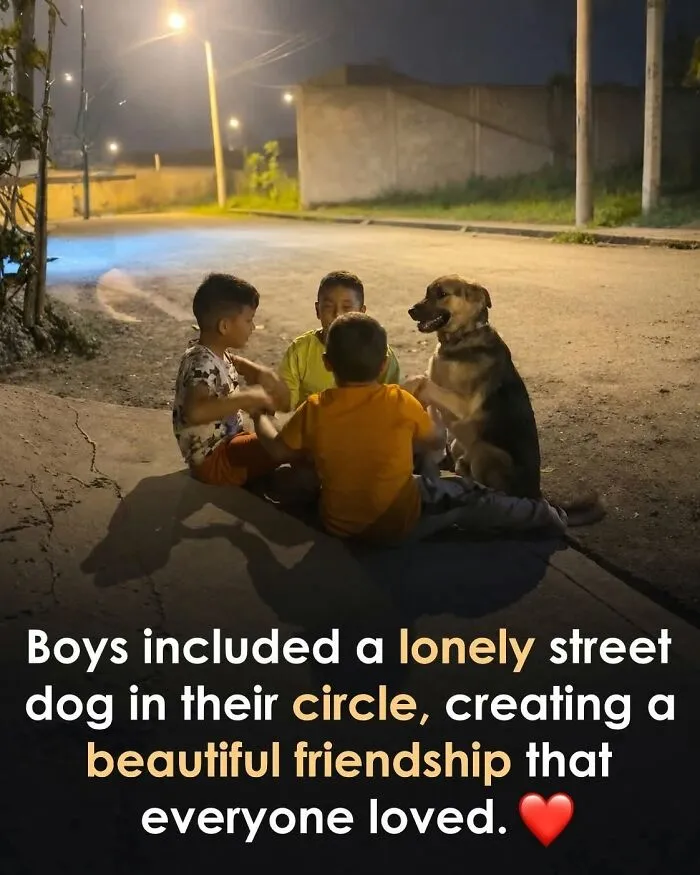 This Page Shared 26 Heartwarming Animal Moments From Around The World (New Pics)
