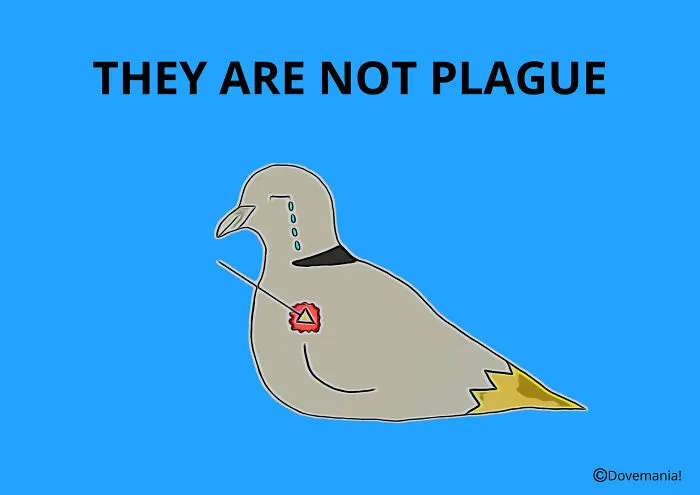 This Illustrator Gives Doves Distinct Personalities In A Charming Series Inspired By A Real Rescue Bird (16 Pics)
