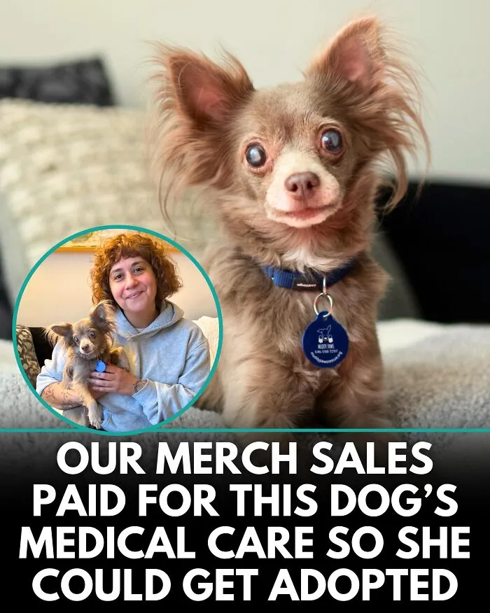 25 Incredible Stories Shared By ‘We Rate Dogs’ That Might Make You Laugh And Cry (New Pics)