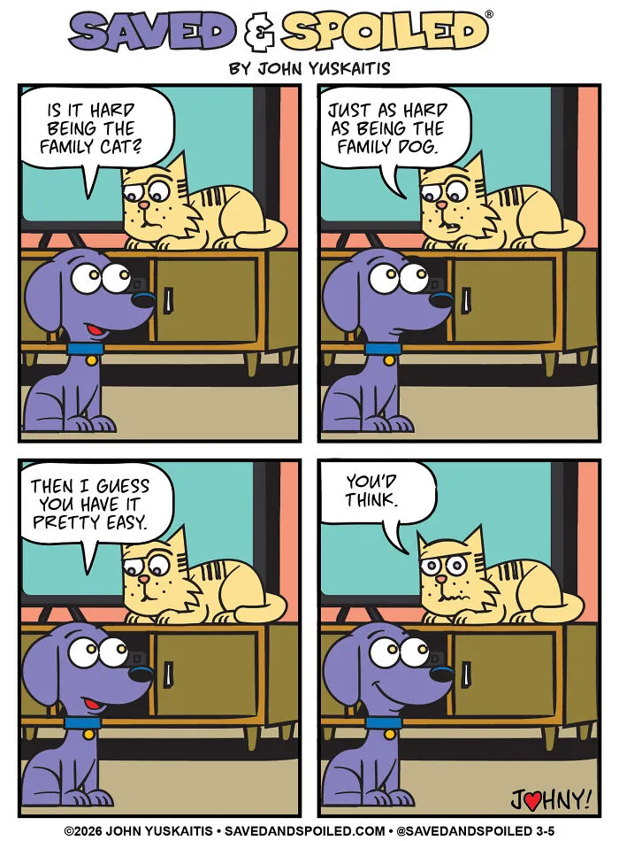 Wilson Asks About The Cat Life