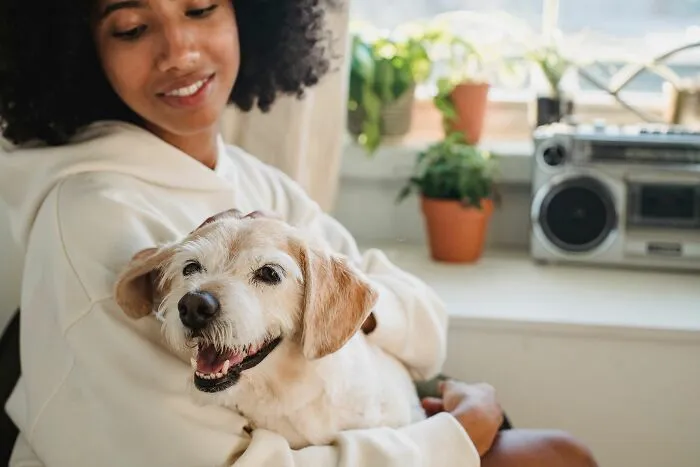 ¿Por qué los perros saludan a las personas con un entusiasmo desbordante, incluso después de ausencias muy breves?