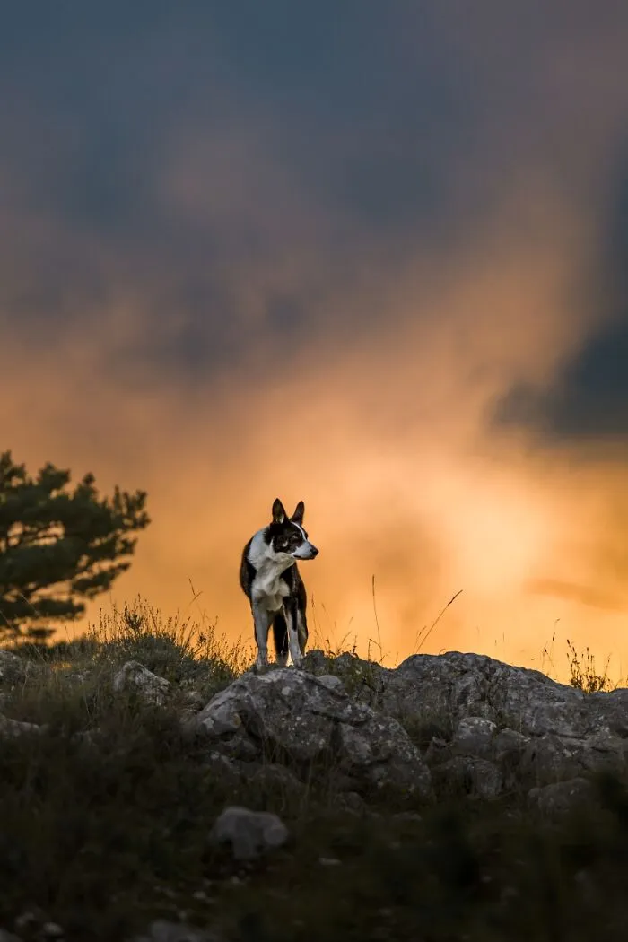“Cuando el cielo está en llamas” por Aubois Valérie