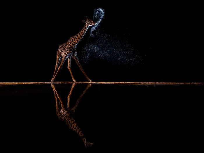 “A Mouthful Of Stars” By Zhayynn James