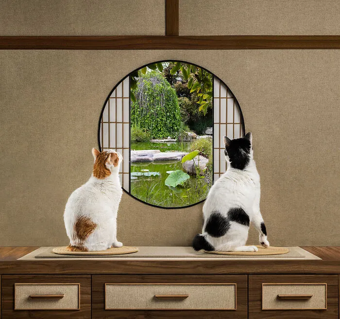 “Vistas al otro lado de la ventana” por Joyce Reinertson